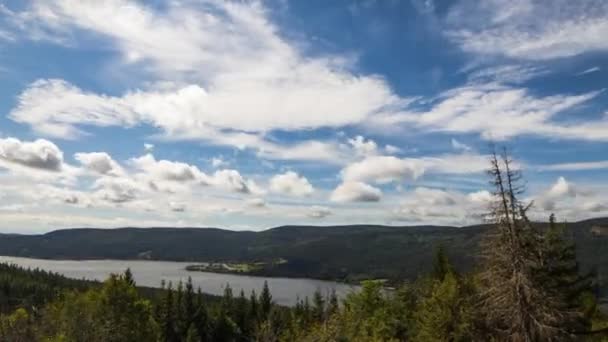 Sunny Timelapse Shot Schluchsee Black Forest Germany Brown Tree Foreground — Stockvideo