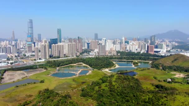 Shenzhen Skyline China Continental Visto Desde Hong Kong Lok Chau — Vídeo de stock