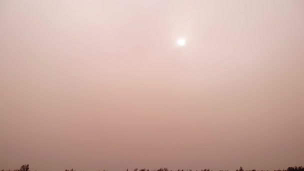 Pan Αριστερά Ροδακινί Χρωματιστά Dusty Skies Στη Σαχάρα Τον Ήλιο — Αρχείο Βίντεο