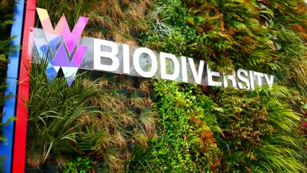 城壁庭園生物多様性生態系の葉と大学の壁のサイネージ成長 — ストック動画