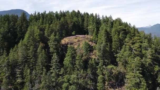 Soames Hill Park Área Exuberante Pitoresca Gibsons Canadá Ângulo Largo — Vídeo de Stock