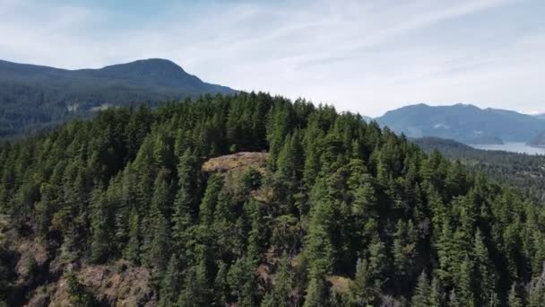 Beautiful Forest Valleys Surrounding Soames Hill Picturesque Region Gibsons Canada — Stockvideo