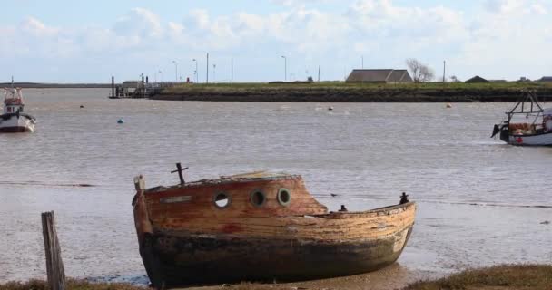 Båtvrak Stranden Vid Orford Suffolks Kustlinje Storbritannien Fiskebåtar Och Orford — Stockvideo