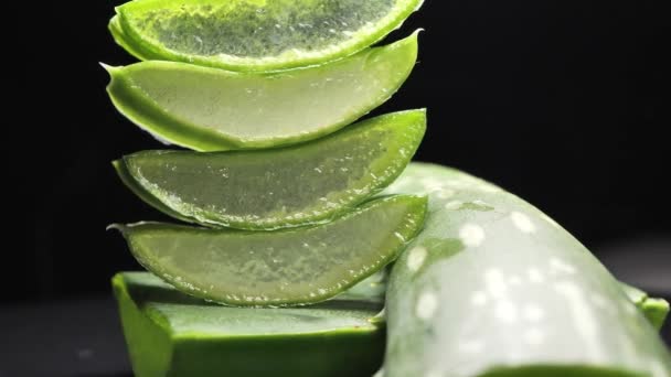 Fresh Aloe Vera Sliced Black Background Green Herb Concept Cosmetic — Vídeo de stock