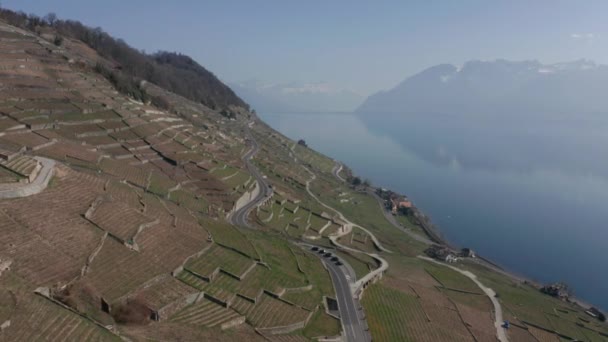 Aerea Lunga Strada Che Attraversa Bella Campagnawit Singolo Ciclista Bicicletta — Video Stock