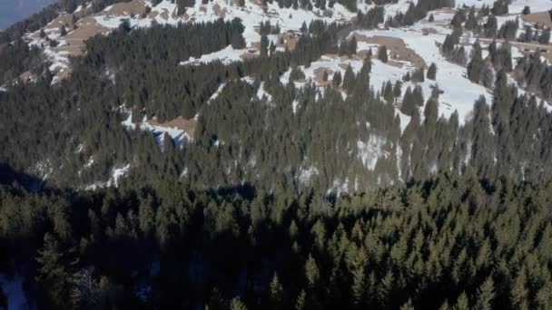 Flygfoto Tallskog Snötäckt Dal — Stockvideo