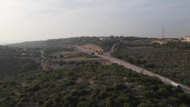 Güneşli Bir Günde Katzir Srail Ormanda Güzel Yeşil Ağaçların Yol — Stok video