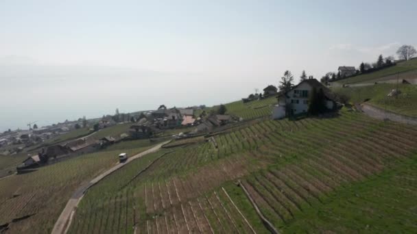 Aérea Pequeña Ciudad Agrícola Hermoso Campo Verde — Vídeos de Stock