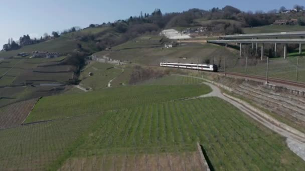 美しい緑の田園地帯でトンネルに運転列車の空中 — ストック動画
