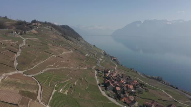 Vue Aérienne Une Belle Ville Agricole Dans Campagne Suisse — Video