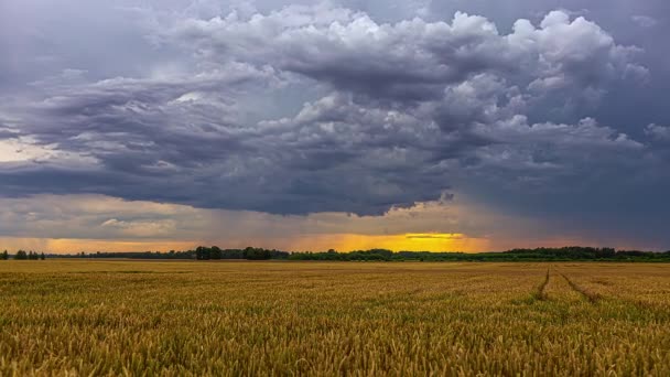 Static Shot Rain Clouds Movement Timelapse Countryside Rural Landscape Young — Stockvideo