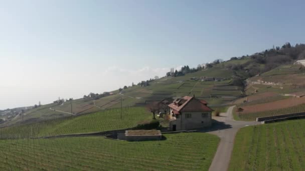 Aerial Old Farm Building Surrounded Green Vineyards — Vídeo de stock