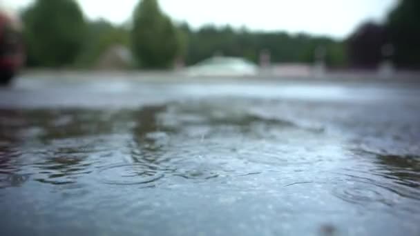 Krople Deszczu Spadające Ziemię Obok Drogi Zbliżenie Małych Pęcherzyków Kałużach — Wideo stockowe