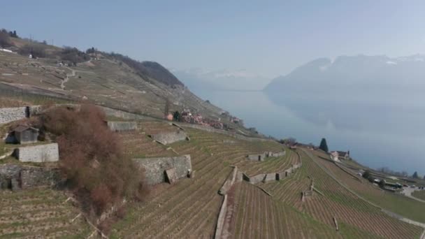 Aerial Large Vineyards Small Rustic Town Swiss Countryside — Stockvideo