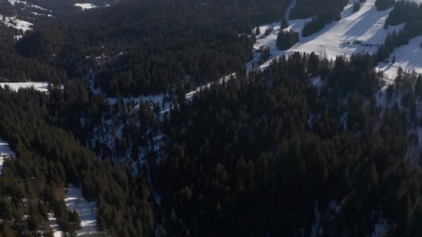 Aérea Árboles Verdes Hermoso Valle Cubierto Nieve Drone Inclina Lentamente — Vídeo de stock