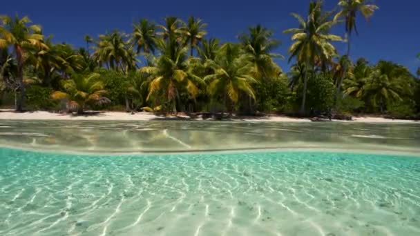 Aufgeteilte Aufnahme Halb Über Halb Unter Wasser Eines Tropischen Strandes — Stockvideo