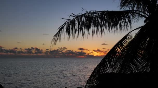Lange Kans Zonsondergang Avondlucht Boven Lagune Van Fakarava Frans Polynesië — Stockvideo