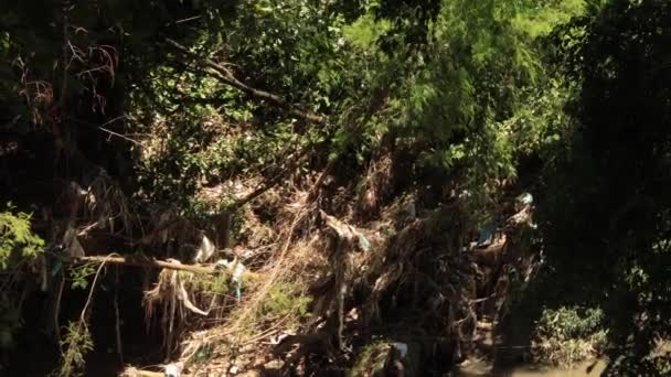 洪水や洪水の流れのために 生分解性でないゴミや影響を受けた緑を持つ川沿いのゴミや破壊された 廃棄物や汚染廃棄物の処分場のコンセプト — ストック動画