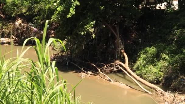 Affected Riverbank Non Biodegradable Garbage Affected Greenery Due Inundation Flooding — Stockvideo