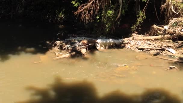 洪水や洪水のために生分解性のゴミや影響を受けた緑と破壊された川岸の閉鎖パン 廃棄物や汚染廃棄物の処分場のコンセプト — ストック動画