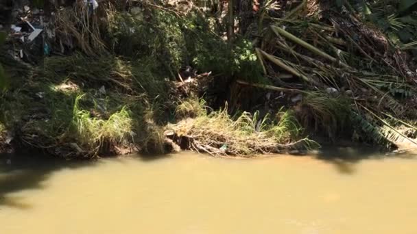 Panning Destroyed Riverbank Non Biodegradable Garbage Affected Greenery Due Inundation — Vídeos de Stock