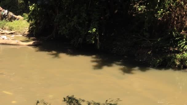 Abfall Und Zerstörtes Flussufer Mit Nicht Biologisch Abbaubarem Müll Und — Stockvideo