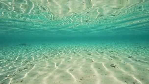 Schöne Aufnahme Der Reflektierenden Wasseroberfläche Unter Wasser Kamera Unter Wasser — Stockvideo