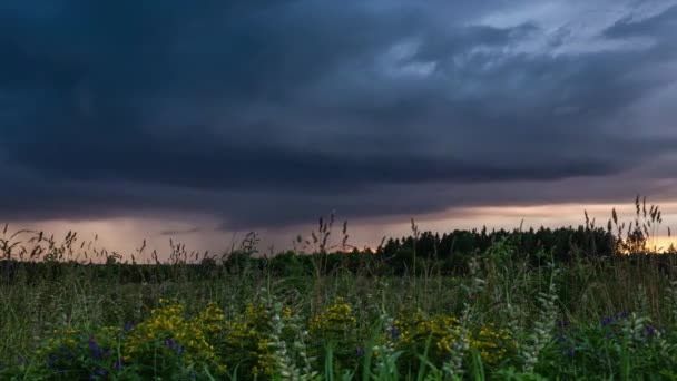 Gray Stormy Clouds Spring Flower Fields Countryside Timelapse — Wideo stockowe