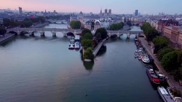 Flying Seine River Ile Cite Notre Dame Cathedral Pont Neuf — стокове відео