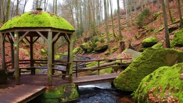 Luchtopname Van Een Bosbeek Karlstalschchlucht Duitsland — Stockvideo