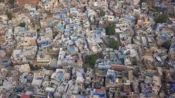 Птахи Дивляться Місто Джодхпур Раджастхан Індія — стокове відео