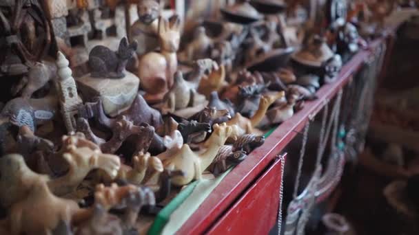 모로코 관광가게에 색깔을 동물의 — 비디오
