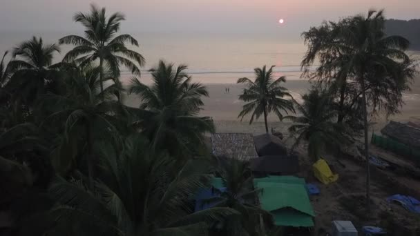 고아에서 일몰을 맞으며 야자나무 해변을 관광객들 — 비디오