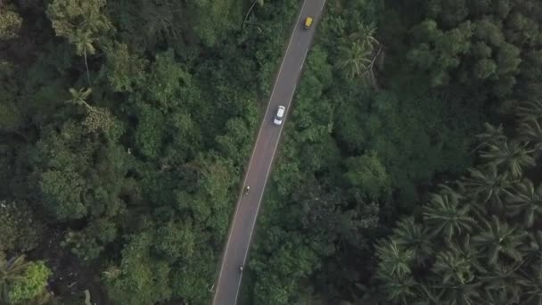 垂直的空中俯瞰着茂密的棕榈丛林中铺面的公路交通 — 图库视频影像