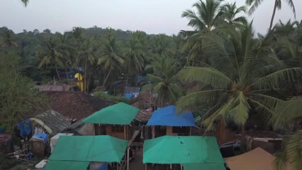 Niskie Muchy Lotnicze Nad Plandeką Pokryte Chaty Wilgotnej Dżungli Palmowej — Wideo stockowe