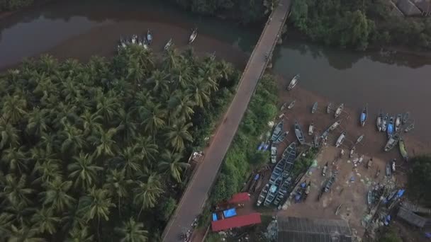 Aerial Tilts Jungle Road Traffic Long Sand Beach Agonda Goa — Stockvideo