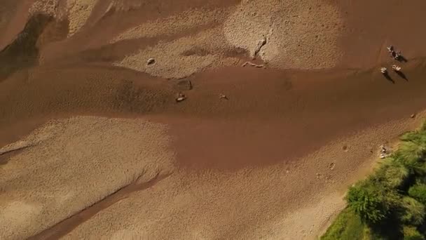 Aerial Top Shot Kids Having Fun Floating Sandy River Shore — Stockvideo