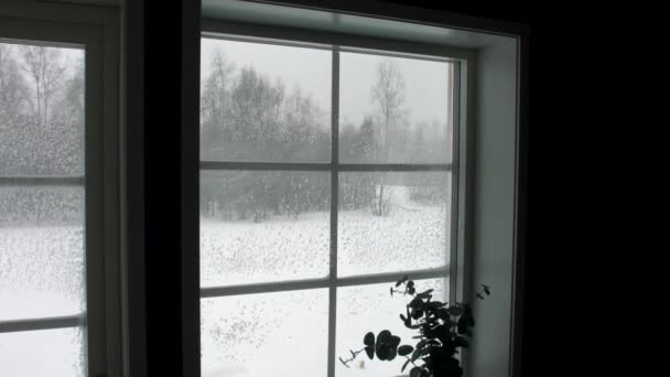 Extreme Snow Blizzard Winter Storm Window — Vídeos de Stock