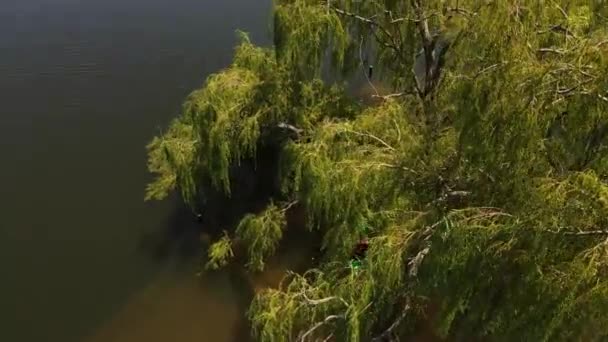 Vuelo Aéreo Sobre Copa Del Árbol Par Kayak Río Salvaje — Vídeo de stock