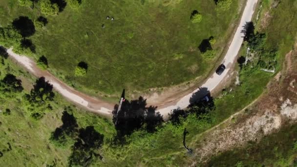 Ein Auto Fährt Auf Einem Waldweg Der Von Grünen Bäumen — Stockvideo