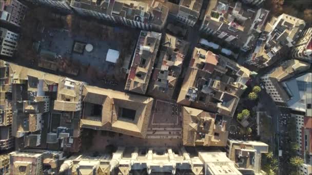 Vista Aérea Cima Para Baixo Mostra Layout Cidade Circundante Catedral — Vídeo de Stock