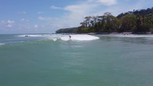 这个男冲浪手在哥斯达黎加奥萨半岛的潘杜尔斯滩捕捉到了一个长波 — 图库视频影像
