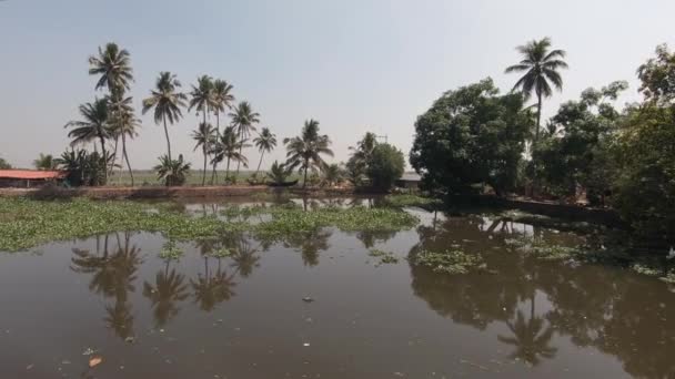 Scenic Landscape Waterway View Reflection Palm Trees Vegetation Banks Alappuzha — Stockvideo