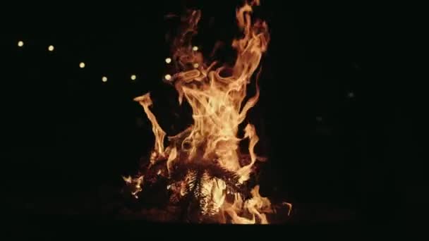 Fire Slow Motion Gros Plan Cendres Soir Orange Bonfire — Video