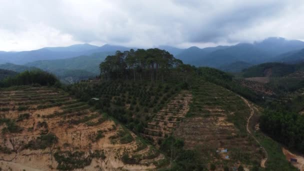 Deforestation Aerial View Hilltops South Vietnam Aerial Pedestal Rise Drone — Stockvideo