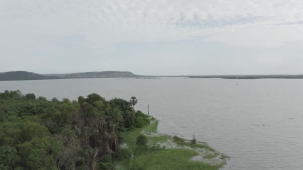 Vista Aérea Orilla Del Río Con Vegetación — Vídeos de Stock
