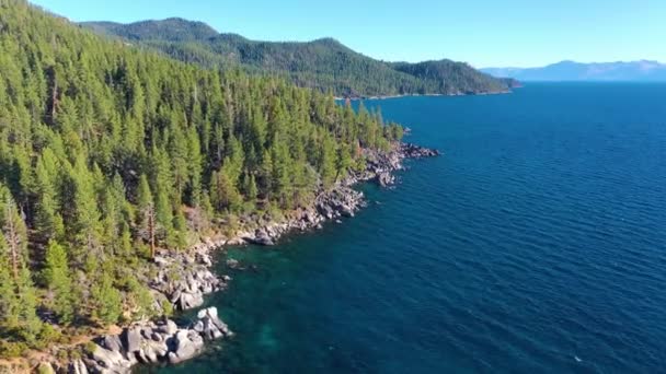 Lake Tahoe Californië Weelderige Dennenbos Kristalhelder Turquoise Wateren Met Bergen — Stockvideo