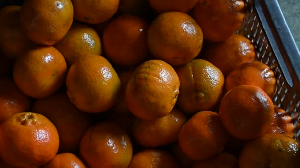 Tangerines Ready Super Market — Stock videók