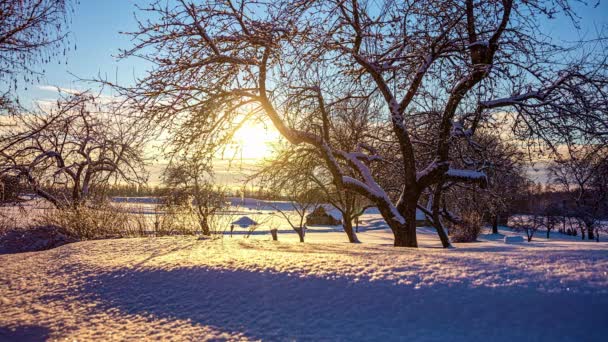 Shades First Time Sunlight Melting Snow Timelapse — Vídeos de Stock