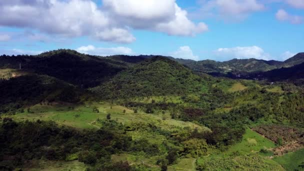 Panorama Ilha Montanhosa Porto Rico Coberto Vegetação Tropical Árvores Arbustos — Vídeo de Stock